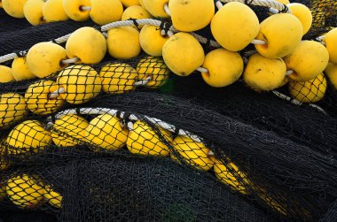 Black fishing net with orange corks, Mahe island, Seychelles clipart
