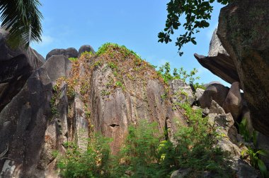 Seyşeller 'in manzarası. Granit kayalar yaklaşık 750 milyon yıl önce Ön-ambrian döneminde oluşmuştur. La Digue