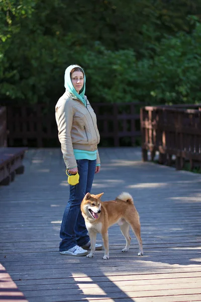Flickan Går Med Hund Shiba Inu Rasen Utomhus — Stockfoto