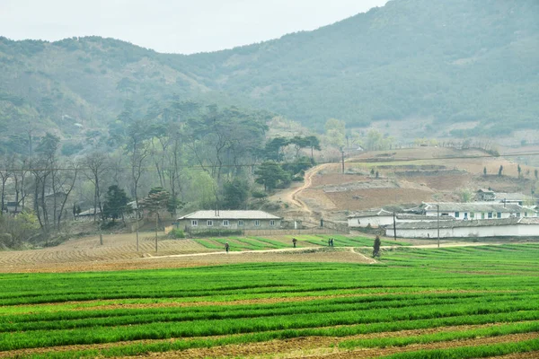 Noord Korea Landschap Bergen Dorpen Landbouwvelden Voorgrond Boeren Verzamelen Zich — Stockfoto