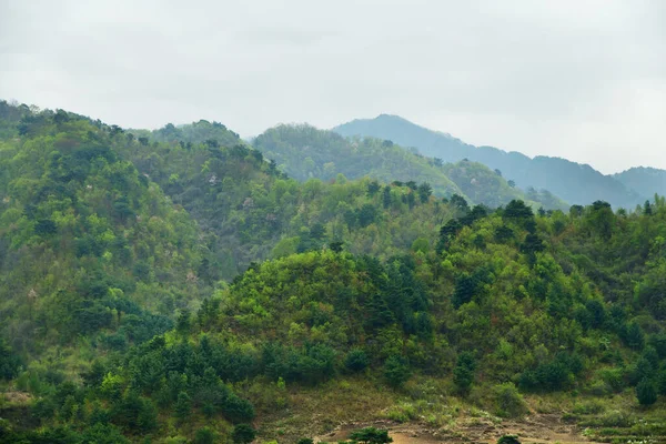 Countryside Landscape Mountains Covered Forest Shown Dawn — Stock Photo, Image