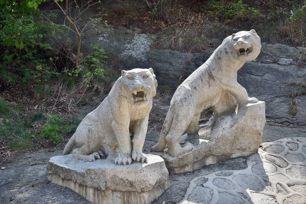 Kaesong North Korea 2019年5月5日 朝鲜高丽神狮雕塑 Granite Lion Sculpin Koryo Seonggyungwan — 图库照片