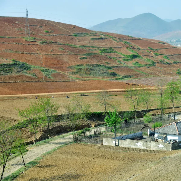 Paisagem Rural Coreia Norte Aldeia Campo Agrícola Cultivado Montanha Fundo — Fotografia de Stock