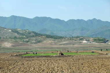 Kırsal alan, Kuzey Kore. Köylüler, tarımsal tarlalar ve arka planda dağlar 