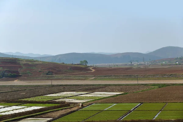 Paisagem Rural Coreia Norte Campo Agrícola Cultivado Montanhas Fundo — Fotografia de Stock