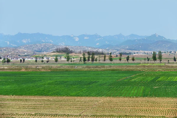 Landelijk Landschap Noord Korea Gecultiveerde Landbouwvelden Dorp Bergen Achtergrond Niet — Stockfoto