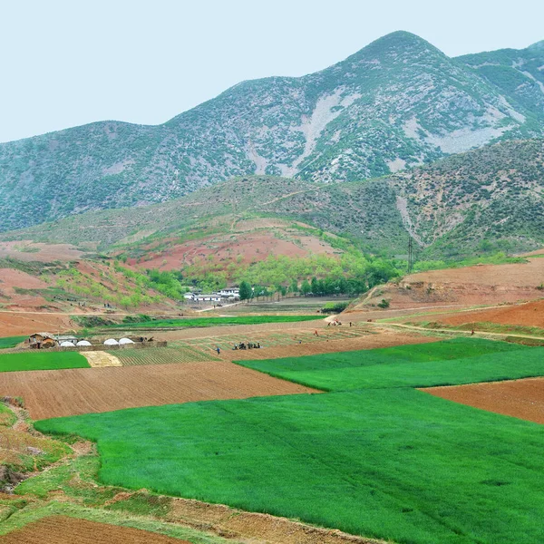 Paisagem Rural Coreia Norte Campos Agrícolas Cultivados Aldeia Montanhas Fundo — Fotografia de Stock