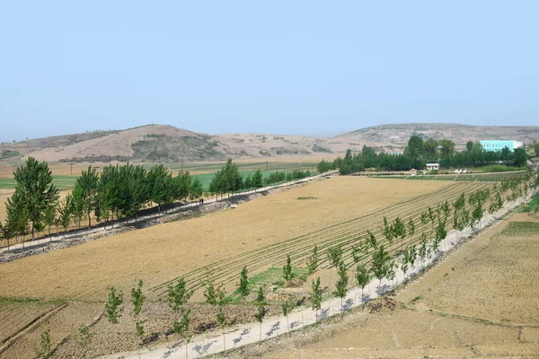 田舎の風景 北朝鮮 耕作農地 村を背景に — ストック写真