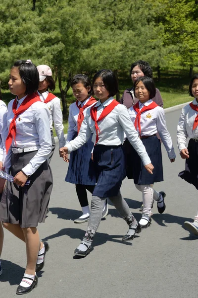 Corea Del Norte Pyongyang Mayo 2019 Grupo Niños Norcoreanos Miembros — Foto de Stock