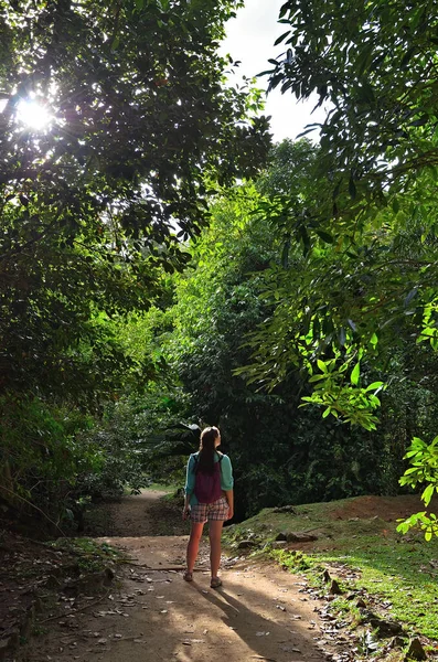 Rapariga Caminhar Caminho Selva Ilhas Seychelles Mahe — Fotografia de Stock