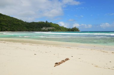 Seyşeller adalarındaki güzel tropik plaj, Mahe