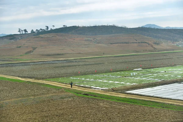 Nordkoreas Landschaft Berge Feldwege Und Gepflügte Landwirtschaftliche Felder Standen Vordergrund — Stockfoto