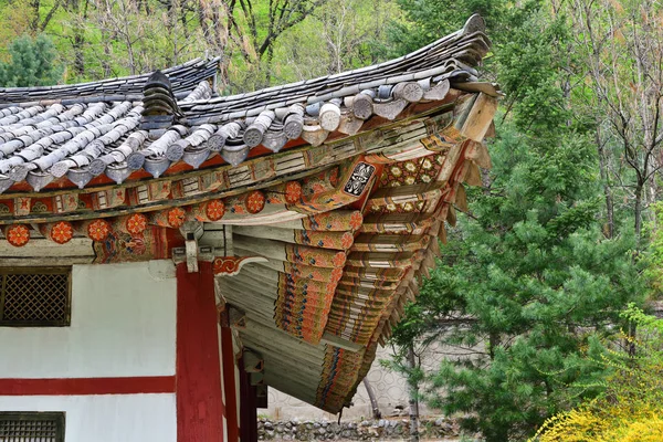 布亨佛寺高丽时代木结构的典型例子 屋顶的一角 在绿林上挂着彩绘的横梁 — 图库照片