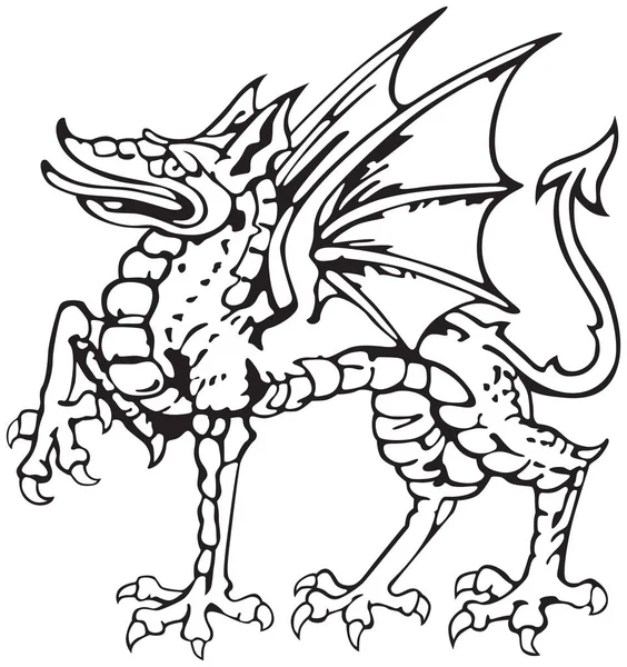 Heraldiska dragon No5 — Stock vektor
