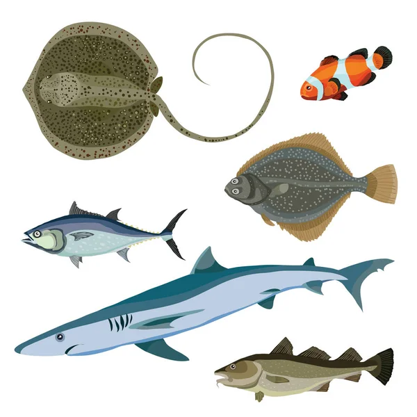 Set of difference kind of fish — Stock Illustration Set of difference kind of fish Stock Illustration