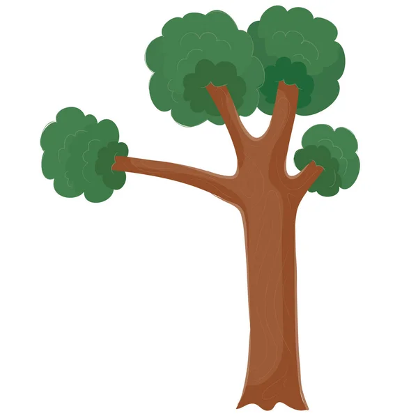 Osamělý strom se silným kmenem a hustou korunou listí stojí osamoceně na bílém pozadí — Stockový vektor