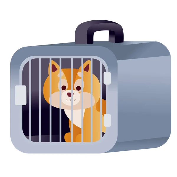 Red cat sits in a blue carrier and waits when it travels by plane or train, isolated object on a white background, — Stock Vector