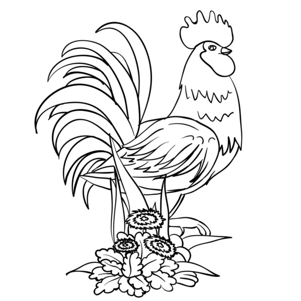 A rooster stands among grass and flowers, a drawing is made in the contour, an isolated object on a white background, vector illustration — Stock Vector