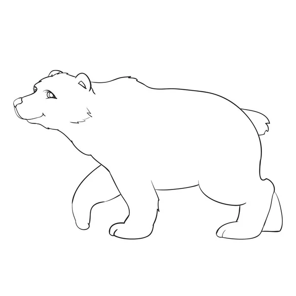 Bär im natürlichen Stil steht auf vier Beinen, Umrisszeichnung, Färbung, isoliertes Objekt auf weißem Hintergrund, Vektorillustration, — Stockvektor