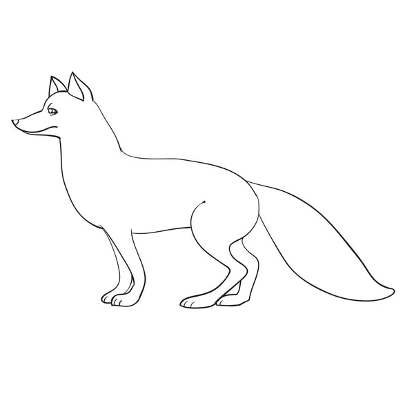 Renard dans un style naturel se tient sur quatre pattes latéralement, dessin de contour, coloration, objet isolé sur un fond blanc, illustration vectorielle , — Image vectorielle