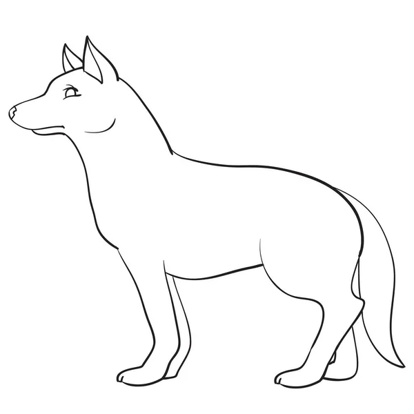 Wolf, Wildtier, steht seitlich auf vier Pfoten, Umrisszeichnung, Färbung, isoliertes Objekt auf weißem Hintergrund, Vektorillustration, — Stockvektor