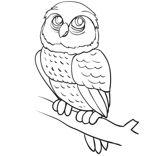 Hibou assis sur une branche, dessin de contour, coloriage, objet isolé sur fond blanc, illustration vectorielle , — Image vectorielle