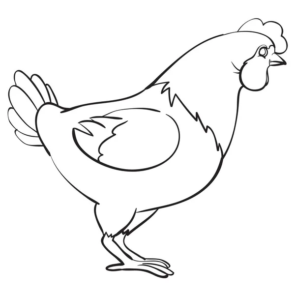 Kyckling dras i kontur, färg, isolerade föremål på en vit bakgrund, gård, vektor illustration, — Stock vektor