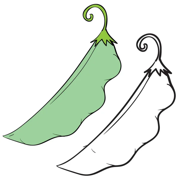 Gousse de pois vert en couleur et sans couleur dans les contours, objet isolé sur fond blanc, illustration vectorielle , — Image vectorielle
