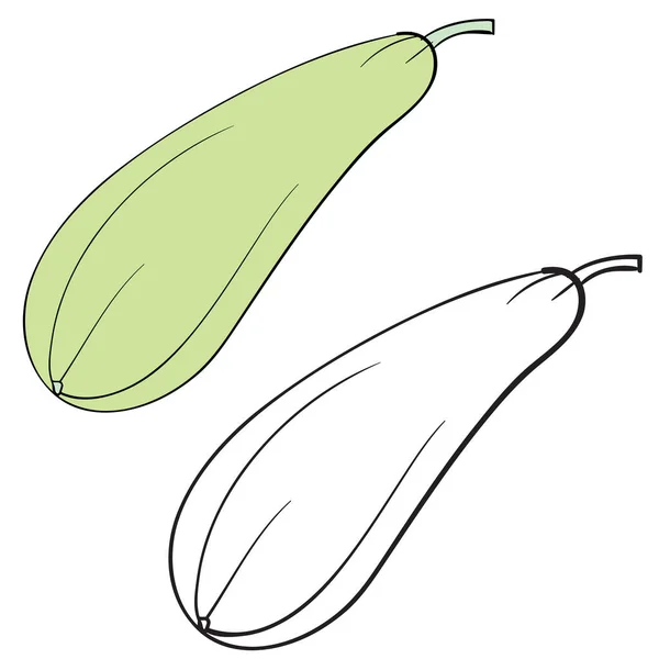 Zucchini in Farbe und ohne Farbe in der Kontur, isoliertes Objekt auf weißem Hintergrund, Vektorillustration, — Stockvektor