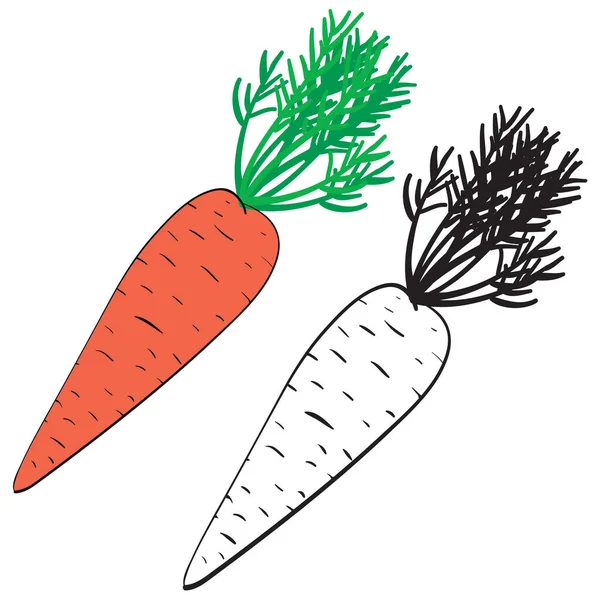 Zanahorias en color y sin color en el contorno, objeto aislado sobre un fondo blanco, ilustración vectorial , — Vector de stock