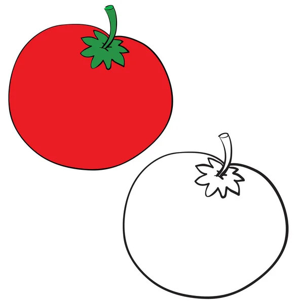 Tomate en color y sin color en el contorno, objeto aislado sobre un fondo blanco, ilustración vectorial , — Vector de stock