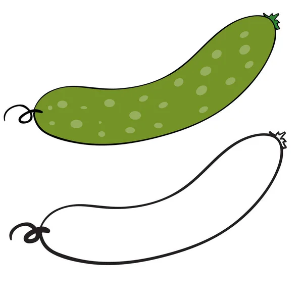 Pepino na cor e sem cor no contorno, objeto isolado em um fundo branco, ilustração vetorial , —  Vetores de Stock