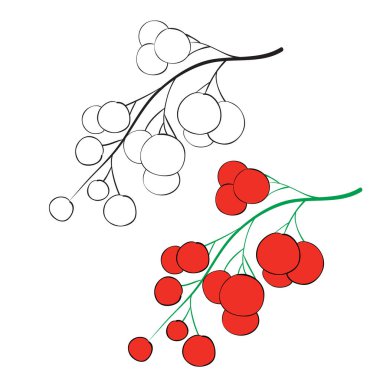 Siyah çizgilerle boyanmış kırmızı kuş üzümü seti ve beyaz arkaplandaki izole nesne, vektör illüstrasyonu,