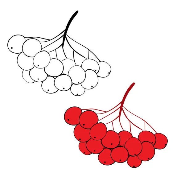 Set di pennelli Rowan dipinti con linee nere e dipinti, oggetto isolato su sfondo bianco, illustrazione vettoriale , — Vettoriale Stock