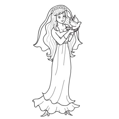 Gelin elinde bir güvercin tutuyor, çizim, beyaz arka planda izole bir nesne, vektör illüstrasyonu,