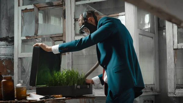 bavul ile gaz maskeli adam fotoğraf. Çantada filizlenmiş buğday