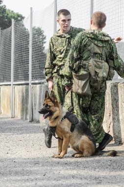 Rusya, Belgorod, 25 Temmuz 2016: egzersizleri özel askeri birimleri. Fırtına çeşitli şekillerde yakalanan Bankası