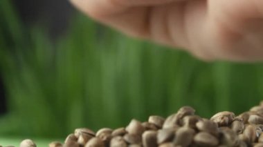 Makro fotoğrafçılıkta kenevir tohumları