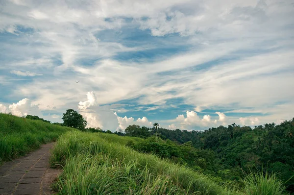Bellissimo paesaggio del crinale di Campuhan a Ubud — Foto Stock