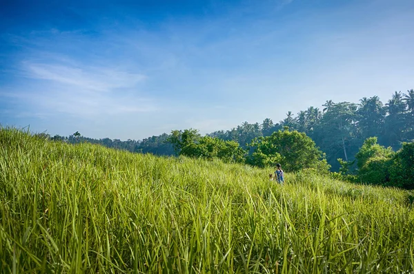 Wandelen op Campuhan ridge — Stockfoto