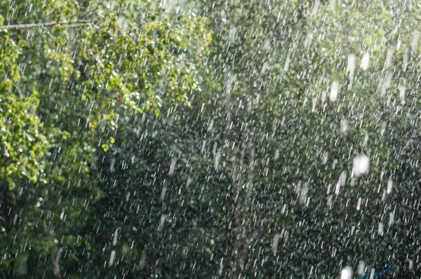 Heavy rain shower — Stock Photo, Image