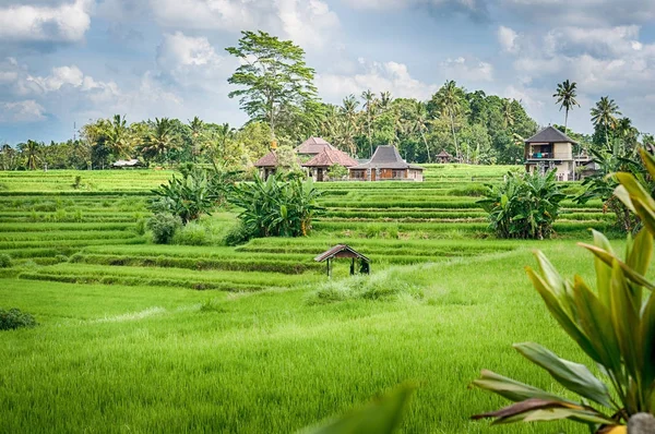 Bali vista pueblo — Foto de Stock