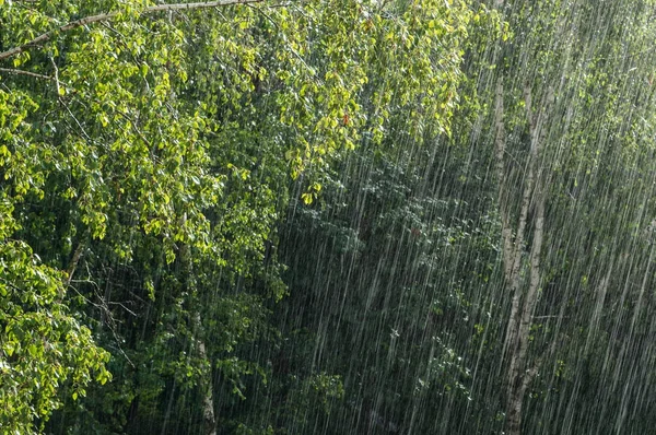 Сильный дождь и солнечный свет — стоковое фото