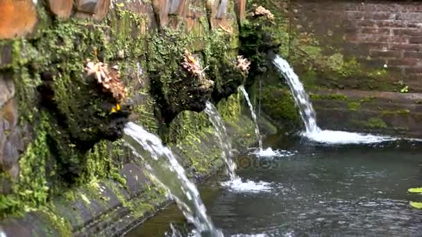 Sebatu Gunug Kawi holy springs — Stock Video