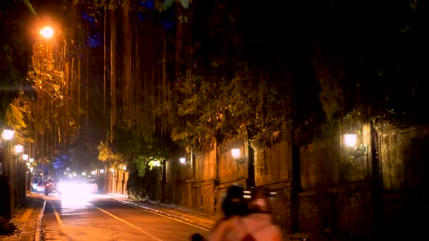 Night tunnel to the Ubud — Stock Video