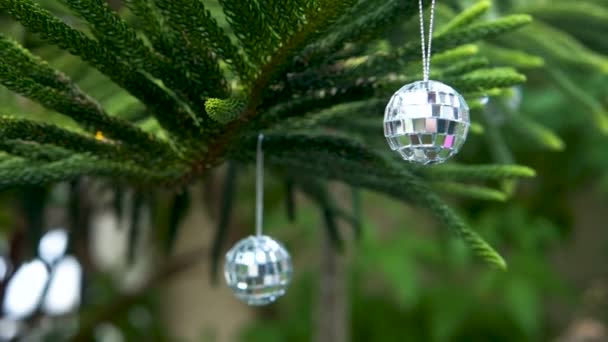 Kerst decoratie op tropische fir-tree — Stockvideo