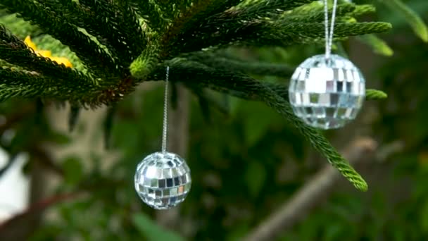 A fenyő fa karácsonyi dekoráció — Stock videók
