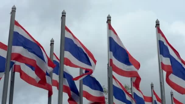 Las banderas nacionales del reino de Tailandia — Vídeos de Stock