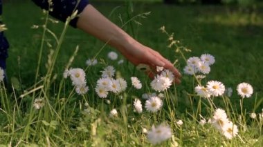 Çiçekler çok dokunaklı
