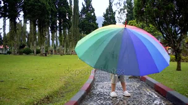 Little boy is rotating the rainbow umbrella — Stock Video